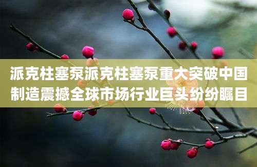 派克柱塞泵派克柱塞泵重大突破中国制造震撼全球市场行业巨头纷纷瞩目