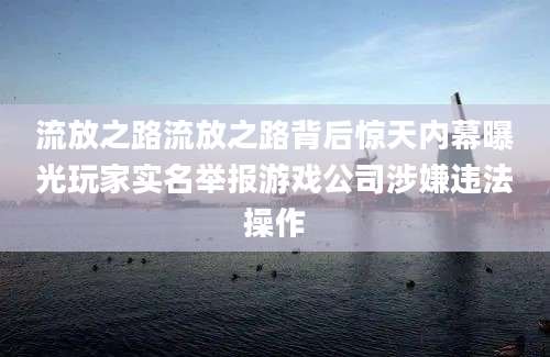 流放之路流放之路背后惊天内幕曝光玩家实名举报游戏公司涉嫌违法操作