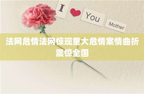 法网危情法网惊现重大危情案情曲折震惊全国