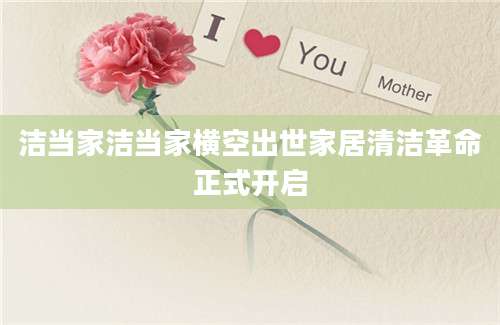 洁当家洁当家横空出世家居清洁革命正式开启