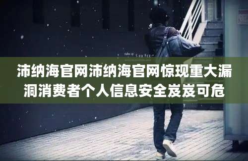沛纳海官网沛纳海官网惊现重大漏洞消费者个人信息安全岌岌可危