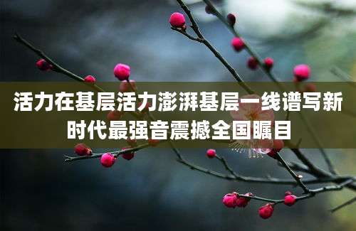 活力在基层活力澎湃基层一线谱写新时代最强音震撼全国瞩目