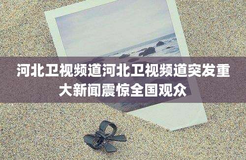 河北卫视频道河北卫视频道突发重大新闻震惊全国观众