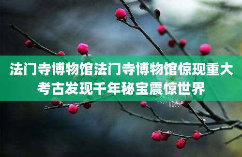 法门寺博物馆法门寺博物馆惊现重大考古发现千年秘宝震惊世界