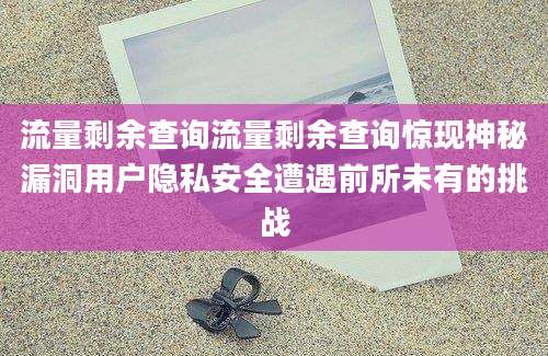 流量剩余查询流量剩余查询惊现神秘漏洞用户隐私安全遭遇前所未有的挑战