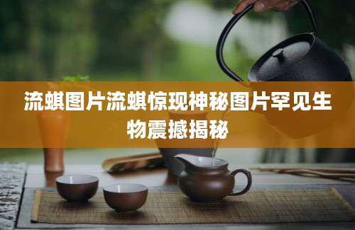 流蜞图片流蜞惊现神秘图片罕见生物震撼揭秘