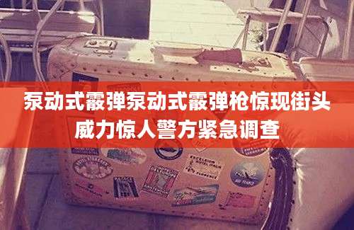 泵动式霰弹泵动式霰弹枪惊现街头威力惊人警方紧急调查