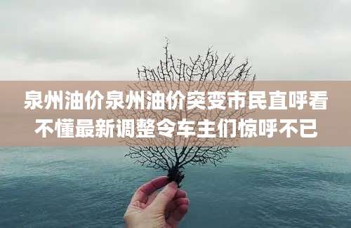 泉州油价泉州油价突变市民直呼看不懂最新调整令车主们惊呼不已