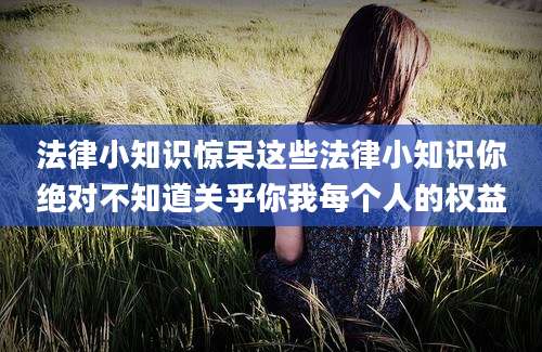 法律小知识惊呆这些法律小知识你绝对不知道关乎你我每个人的权益