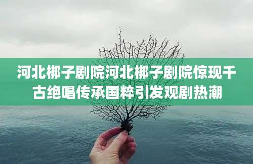 河北梆子剧院河北梆子剧院惊现千古绝唱传承国粹引发观剧热潮