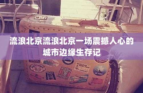 流浪北京流浪北京一场震撼人心的城市边缘生存记