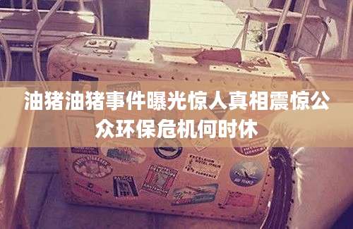 油猪油猪事件曝光惊人真相震惊公众环保危机何时休