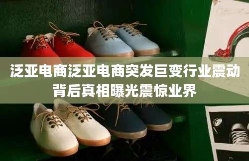 泛亚电商泛亚电商突发巨变行业震动背后真相曝光震惊业界