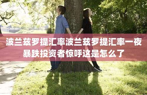 波兰兹罗提汇率波兰兹罗提汇率一夜暴跌投资者惊呼这是怎么了