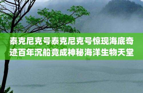 泰克尼克号泰克尼克号惊现海底奇迹百年沉船竟成神秘海洋生物天堂