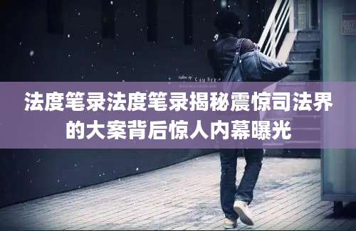 法度笔录法度笔录揭秘震惊司法界的大案背后惊人内幕曝光