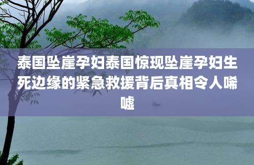 泰国坠崖孕妇泰国惊现坠崖孕妇生死边缘的紧急救援背后真相令人唏嘘