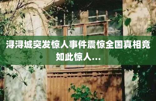 浔浔城突发惊人事件震惊全国真相竟如此惊人...