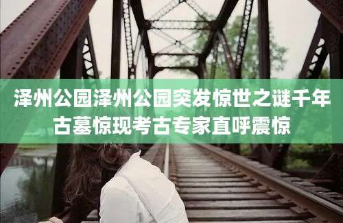 泽州公园泽州公园突发惊世之谜千年古墓惊现考古专家直呼震惊