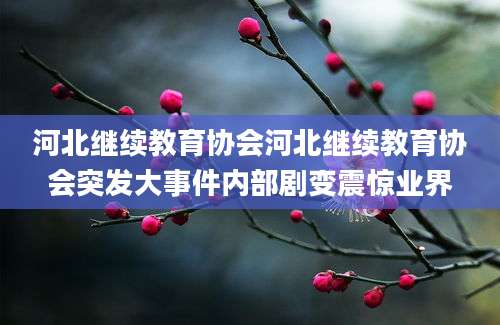 河北继续教育协会河北继续教育协会突发大事件内部剧变震惊业界