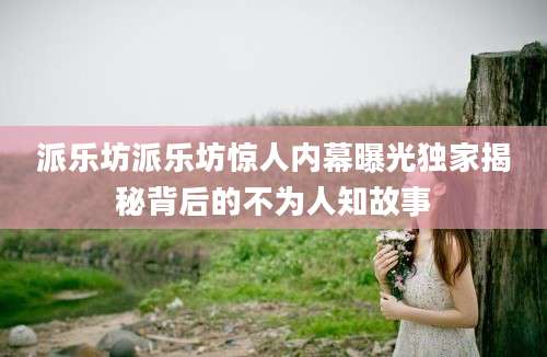 派乐坊派乐坊惊人内幕曝光独家揭秘背后的不为人知故事
