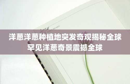 洋葱洋葱种植地突发奇观揭秘全球罕见洋葱奇景震撼全球