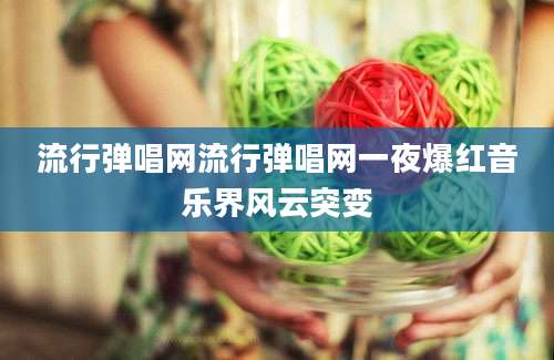 流行弹唱网流行弹唱网一夜爆红音乐界风云突变