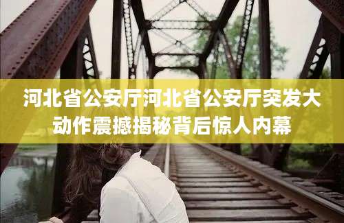 河北省公安厅河北省公安厅突发大动作震撼揭秘背后惊人内幕