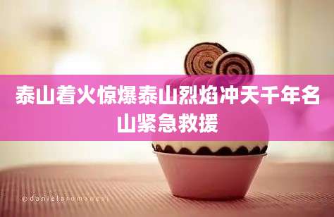 泰山着火惊爆泰山烈焰冲天千年名山紧急救援