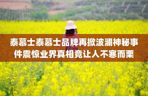 泰慕士泰慕士品牌再掀波澜神秘事件震惊业界真相竟让人不寒而栗