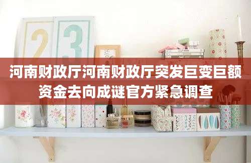 河南财政厅河南财政厅突发巨变巨额资金去向成谜官方紧急调查