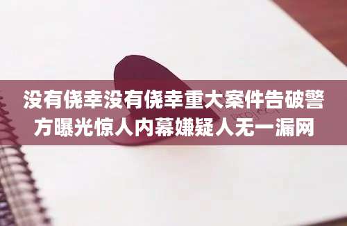 没有侥幸没有侥幸重大案件告破警方曝光惊人内幕嫌疑人无一漏网