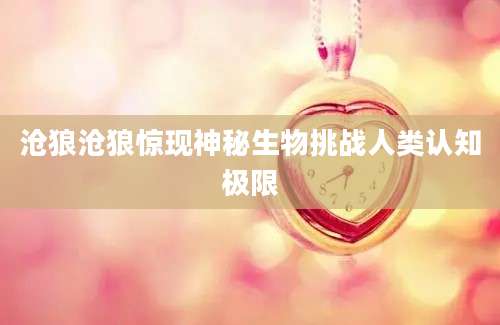 沧狼沧狼惊现神秘生物挑战人类认知极限