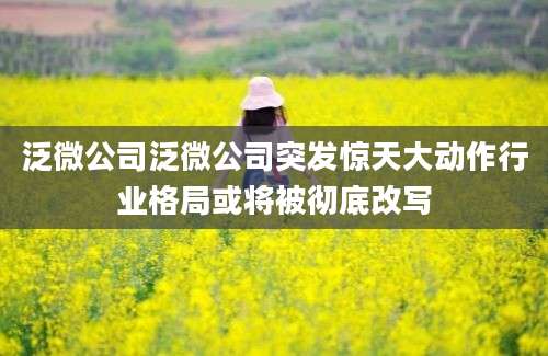 泛微公司泛微公司突发惊天大动作行业格局或将被彻底改写