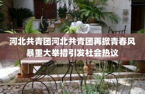 河北共青团河北共青团再掀青春风暴重大举措引发社会热议