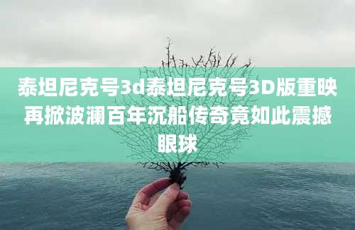 泰坦尼克号3d泰坦尼克号3D版重映再掀波澜百年沉船传奇竟如此震撼眼球