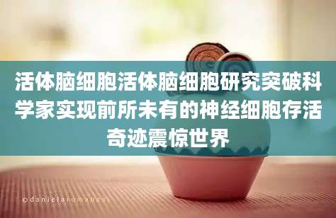 活体脑细胞活体脑细胞研究突破科学家实现前所未有的神经细胞存活奇迹震惊世界