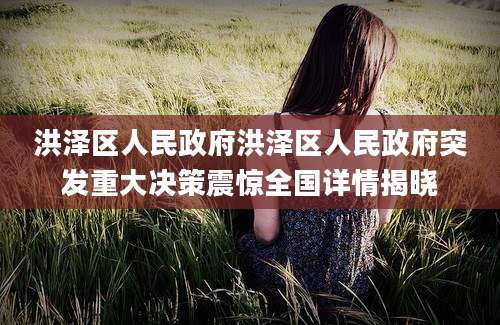 洪泽区人民政府洪泽区人民政府突发重大决策震惊全国详情揭晓