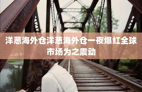 洋葱海外仓洋葱海外仓一夜爆红全球市场为之震动