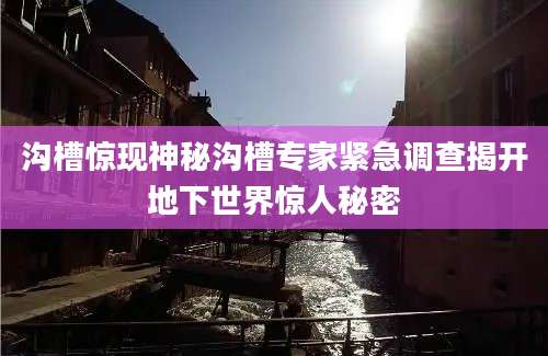 沟槽惊现神秘沟槽专家紧急调查揭开地下世界惊人秘密