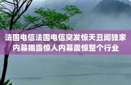 法国电信法国电信突发惊天丑闻独家内幕揭露惊人内幕震惊整个行业