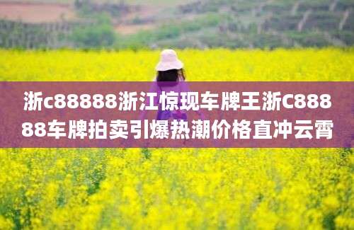 浙c88888浙江惊现车牌王浙C88888车牌拍卖引爆热潮价格直冲云霄