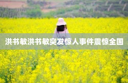洪书敏洪书敏突发惊人事件震惊全国