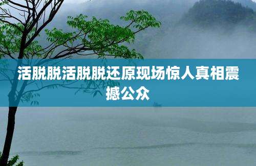 活脱脱活脱脱还原现场惊人真相震撼公众