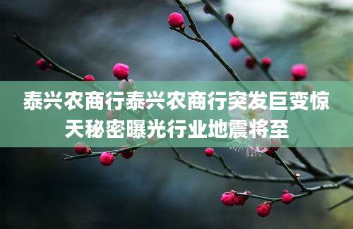 泰兴农商行泰兴农商行突发巨变惊天秘密曝光行业地震将至