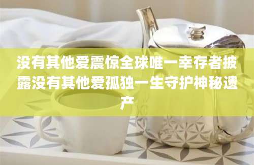 没有其他爱震惊全球唯一幸存者披露没有其他爱孤独一生守护神秘遗产