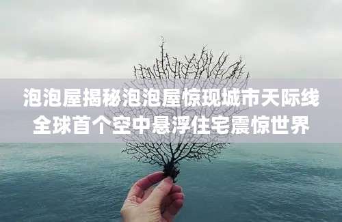泡泡屋揭秘泡泡屋惊现城市天际线全球首个空中悬浮住宅震惊世界