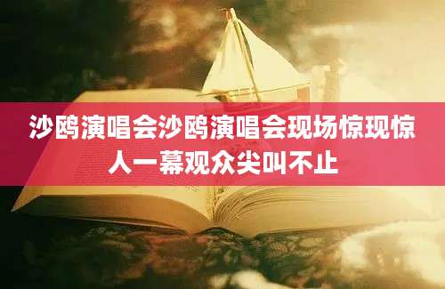 沙鸥演唱会沙鸥演唱会现场惊现惊人一幕观众尖叫不止