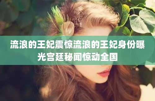 流浪的王妃震惊流浪的王妃身份曝光宫廷秘闻惊动全国