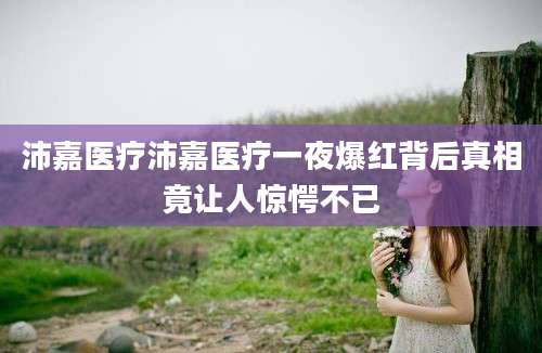 沛嘉医疗沛嘉医疗一夜爆红背后真相竟让人惊愕不已